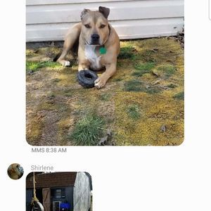 Meet your Posher, Wayne